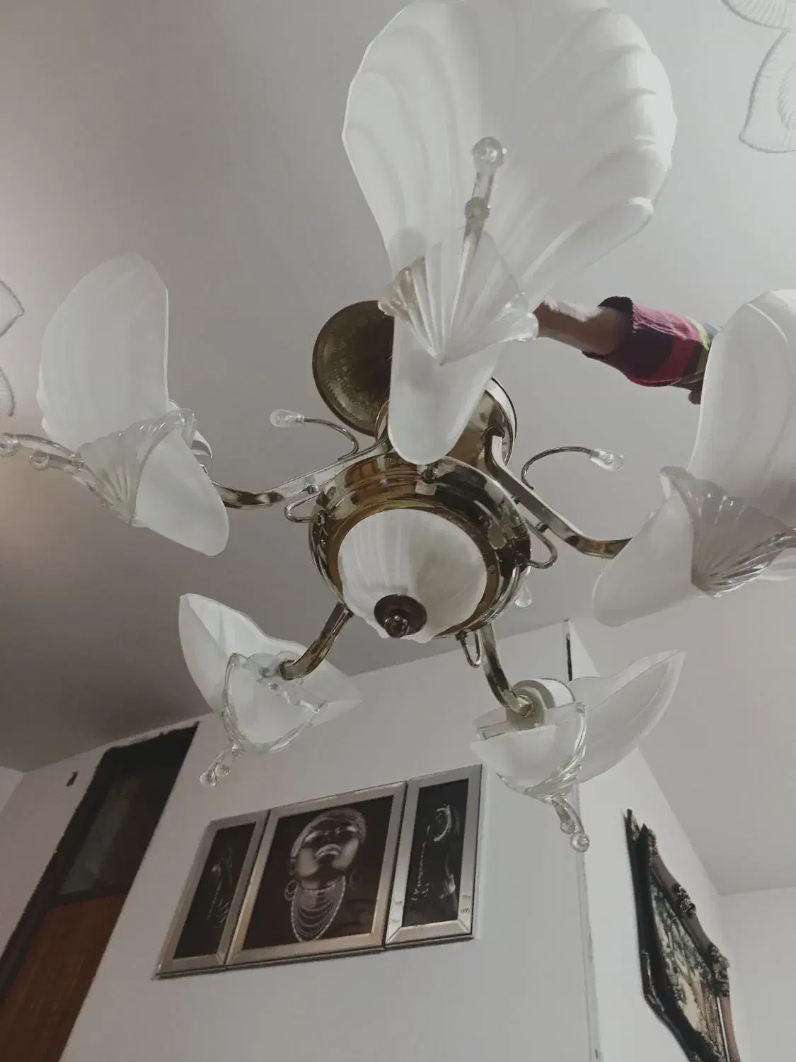 لوستر شیک ۵شاخه|لوستر و چراغ آویز|کرمانشاه, |دیوار