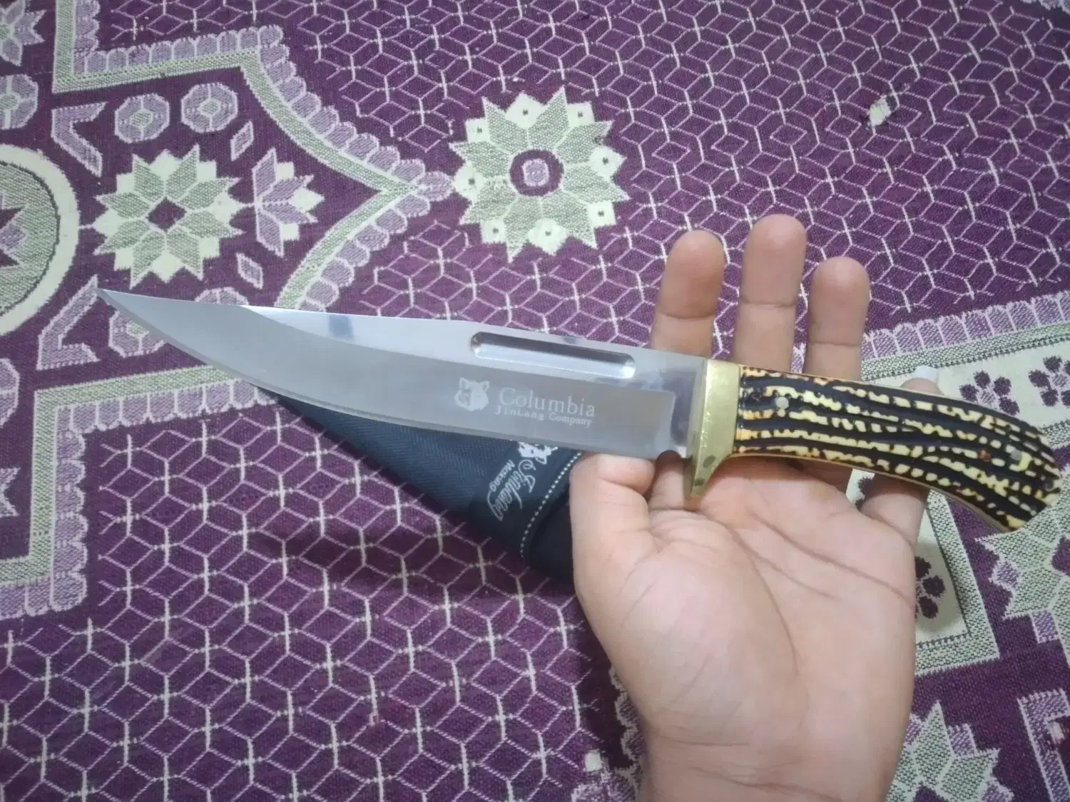 چاقو قلاف دار|کوهنوردی و کمپینگ|بندر گناوه, |دیوار