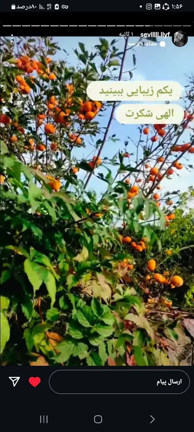 ویلا ساحلی درحویق هراندان|فروش خانه و ویلا|حویق, |دیوار