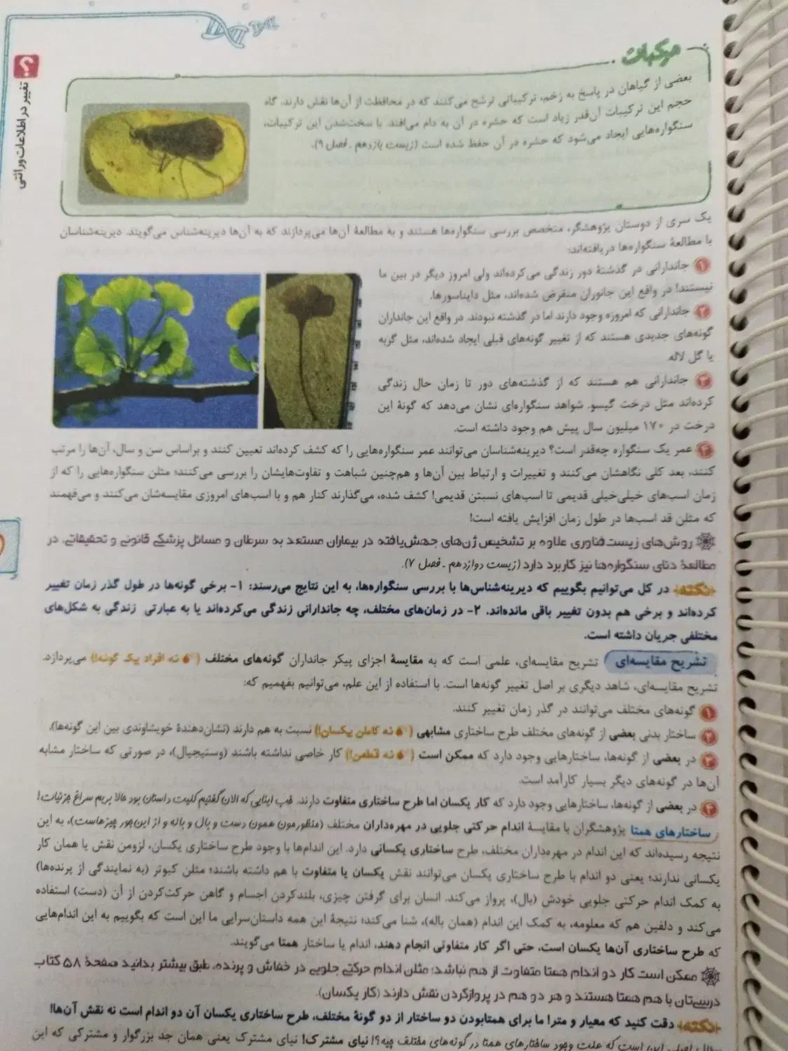 کتاب کنکور وکمک درسی زیست شناسی 3 خیلی سبز|کتاب و مجله آموزشی|هشتگرد, هشتگرد قدیم|دیوار