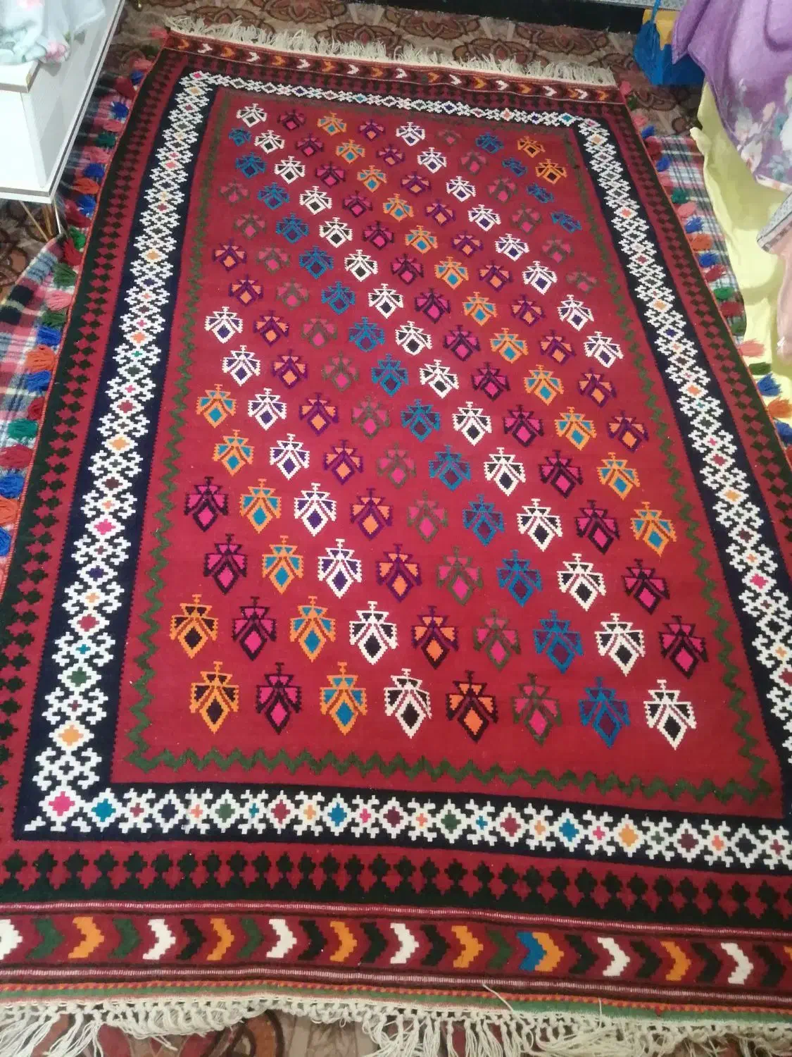 فروش گلیم دستباف قشقایی|گلیم، جاجیم، گبه|شیراز, شیخ روزبهان|دیوار