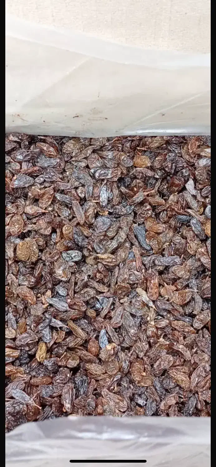 کشمش افتابی|خوردنی و آشامیدنی|ری, شهرک نظامی|دیوار