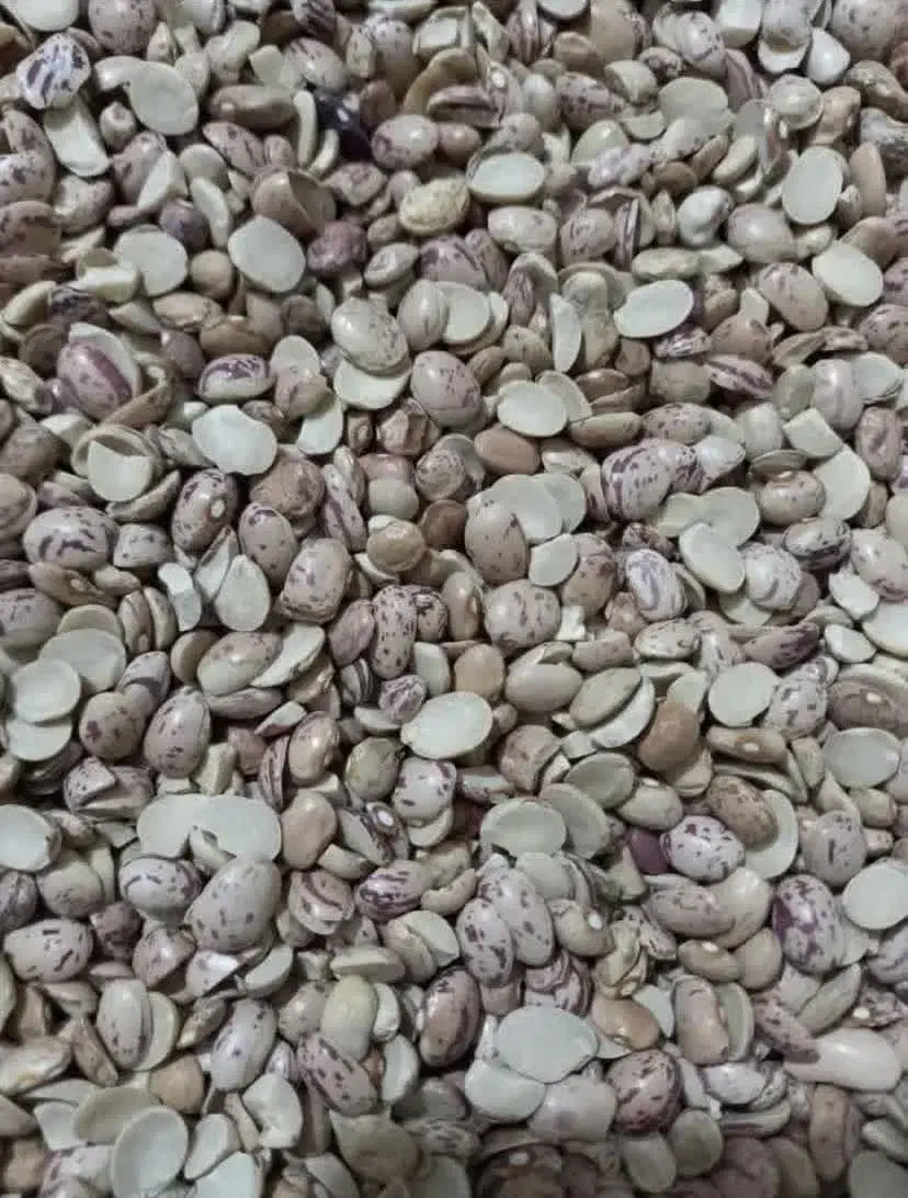 لوبیا چیتی شکسته|خوردنی و آشامیدنی|بهشهر, |دیوار