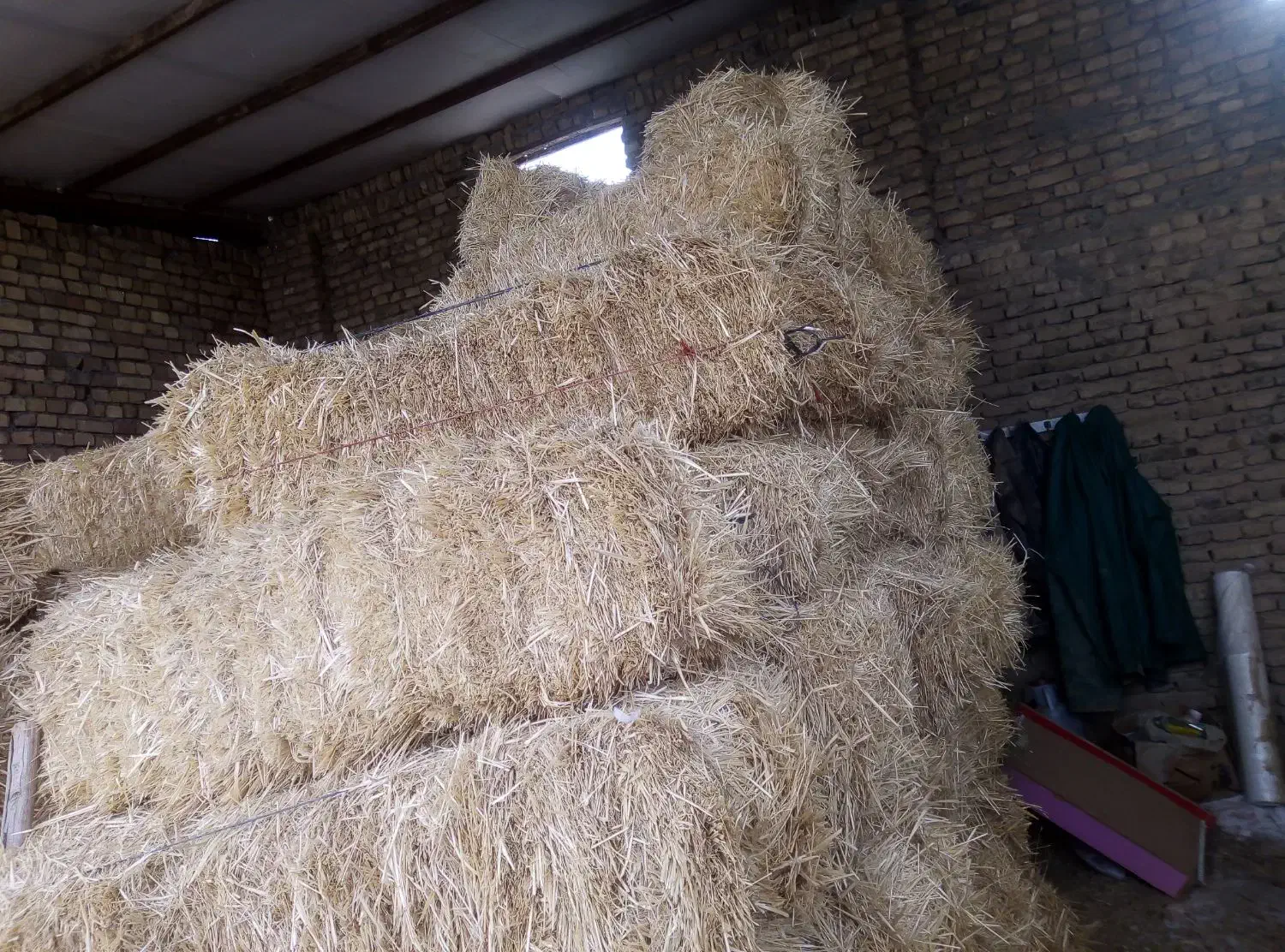 کاه وکلش|لوازم جانبی حیوانات|کبودرآهنگ, |دیوار