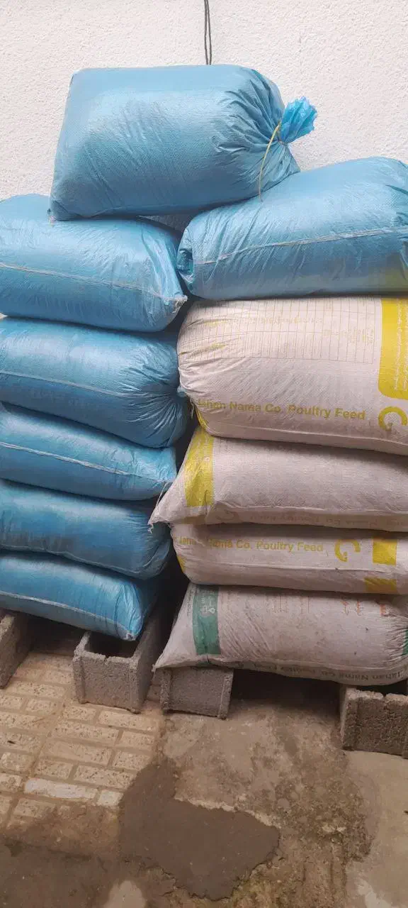 فروش کودمرغی خشک در بندرانزلی|خدمات باغبانی و درختکاری|رشت, شهرک قدس|دیوار