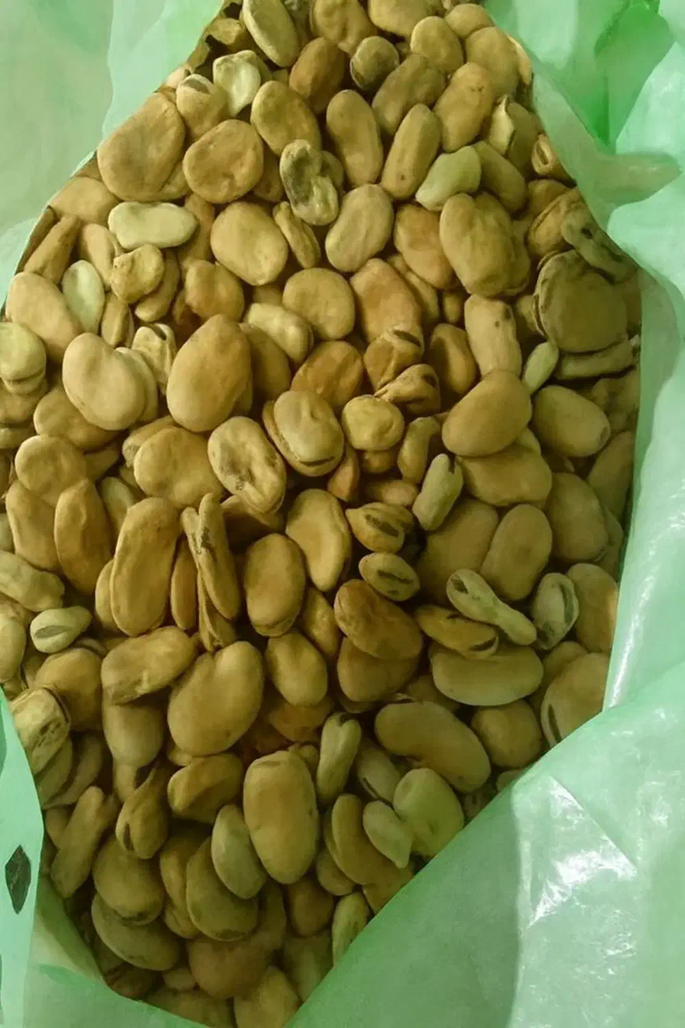 باقلا خشک زود پز|خوردنی و آشامیدنی|بهشهر, |دیوار