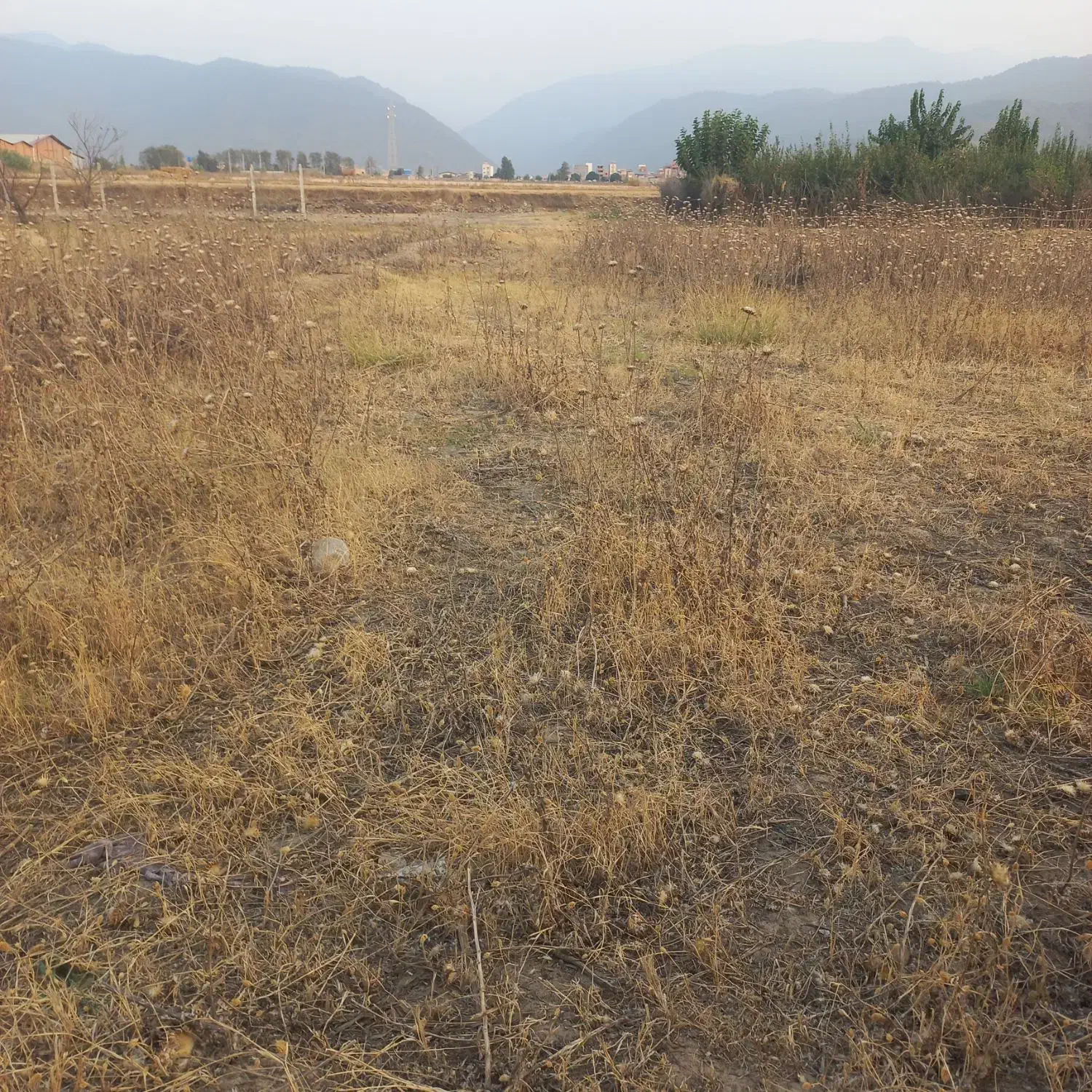 یک عددزمین باقیمت خوب بفروش میرسد|فروش دفتر صنعتی، کشاورزی، تجاری|فاضل آباد, |دیوار