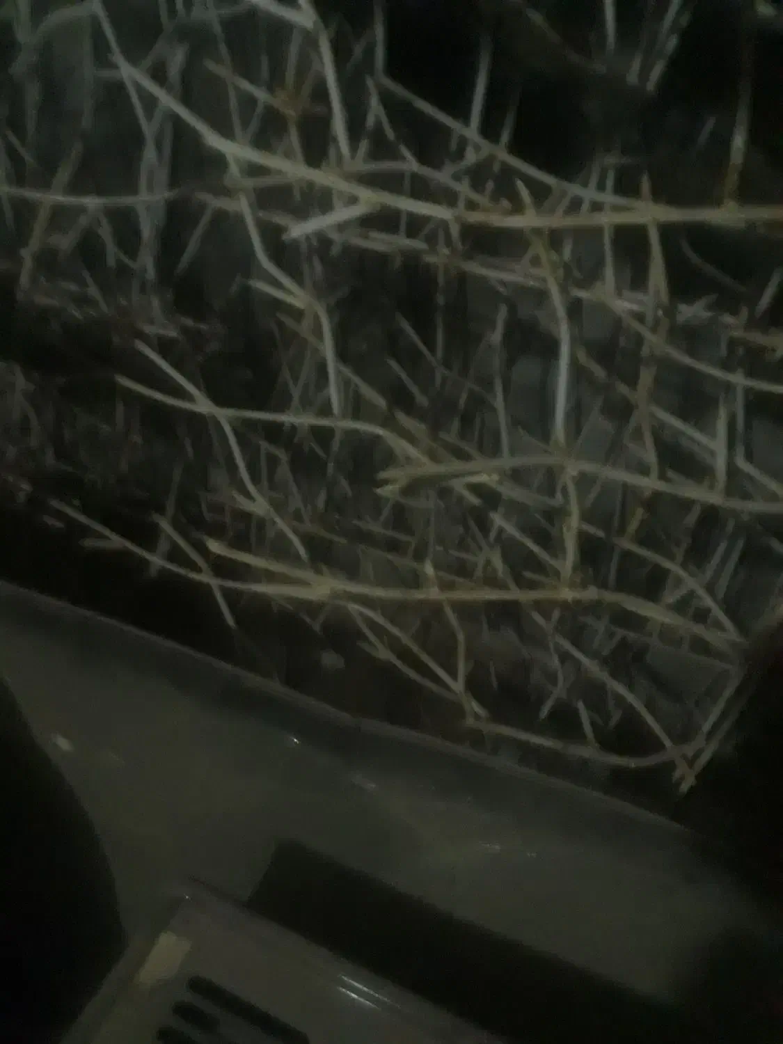 حفاظ میلگردی شاخه ای|مصالح و تجهیزات ساختمان|نصر آباد, |دیوار