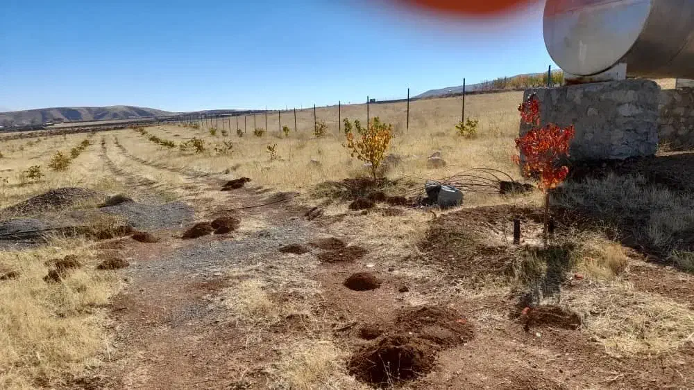 زمین ۳۵۰۰متر اراضی سیوان|فروش دفتر صنعتی، کشاورزی، تجاری|مرند, |دیوار