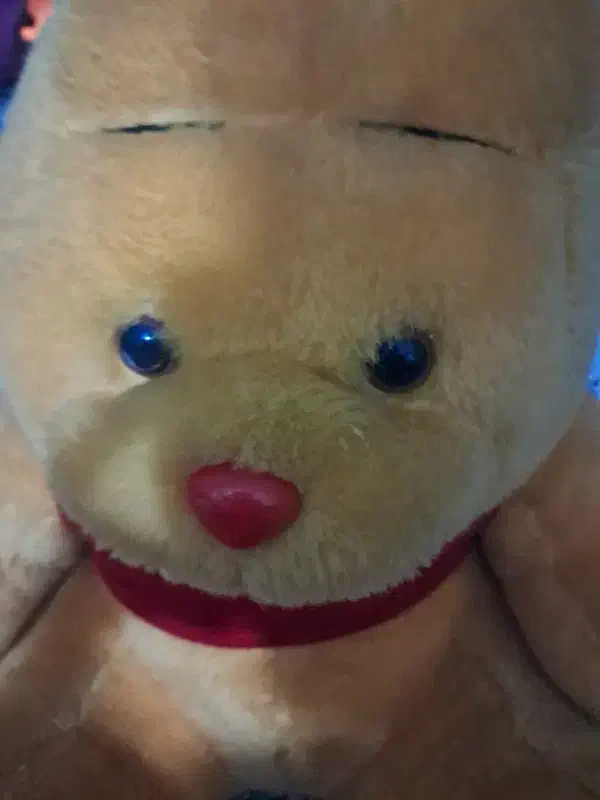 خرس|اسباب‌بازی بچه|اقبالیه, |دیوار