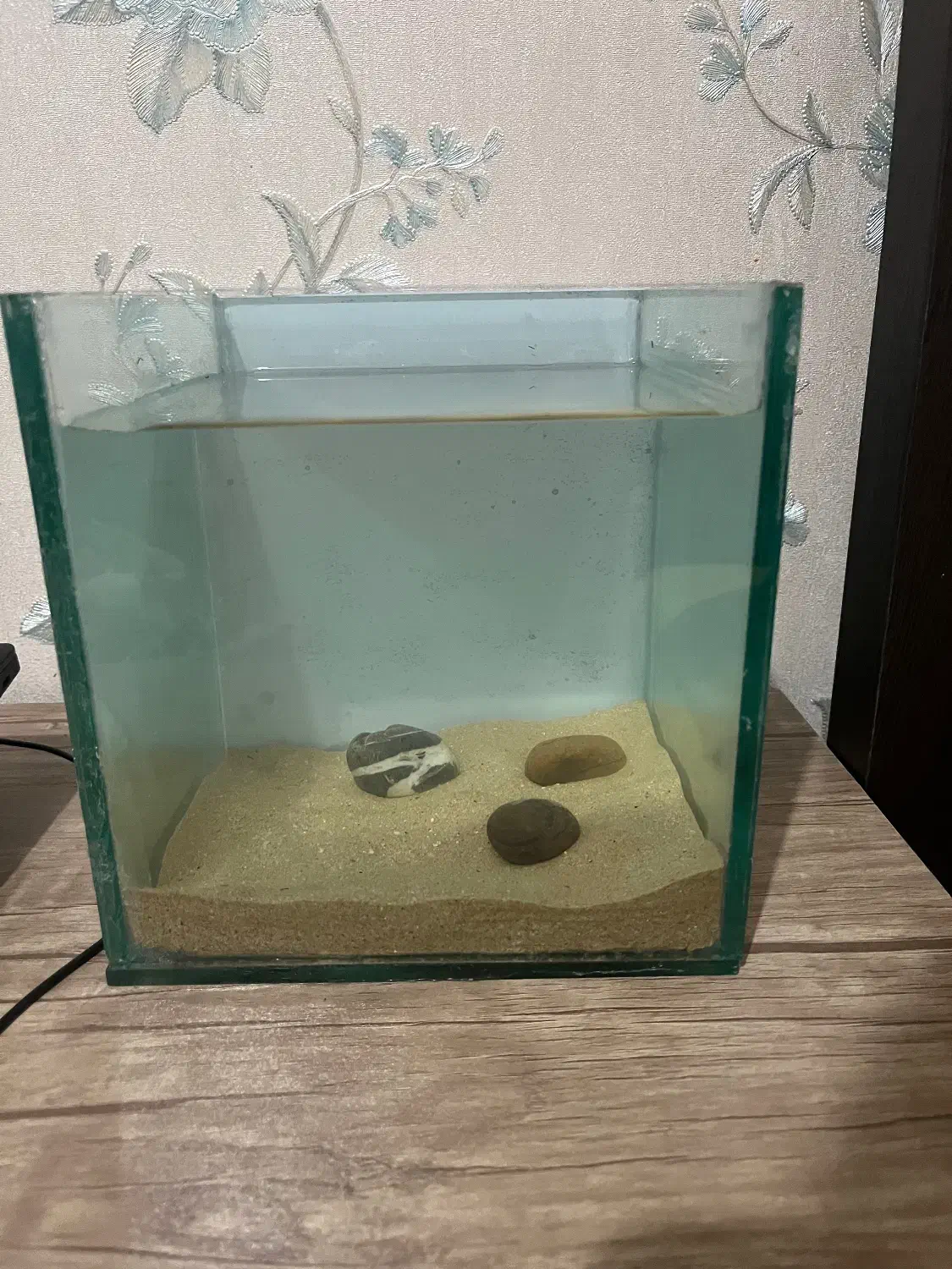 شیشه اکواریوم|ماهی|تبریز, |دیوار