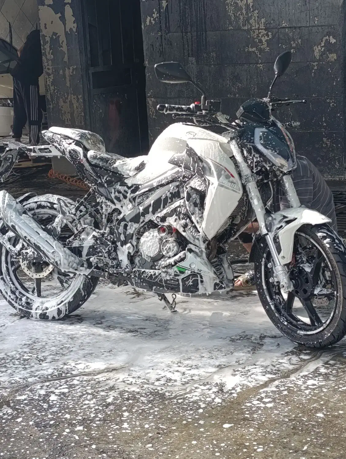 بنلی ۱۸۰s نقد اقساط طرح نیوفیس موتور کاسبی|موتورسیکلت|مشهد, فرهنگ|دیوار