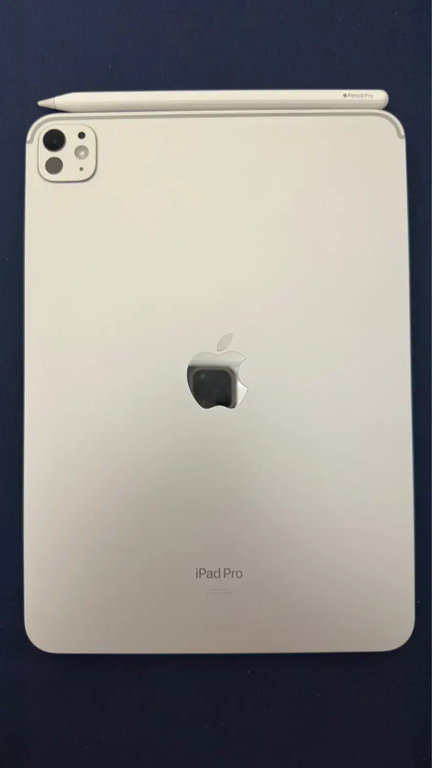 ipad pro m4 2024 + Apple pencil Pro|تبلت|اصفهان, باغ زیار|دیوار