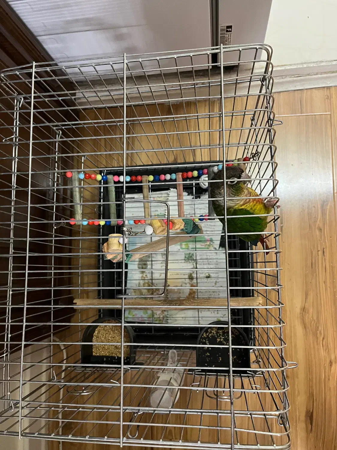 گرینچینگ|پرنده|تهران, جیحون|دیوار