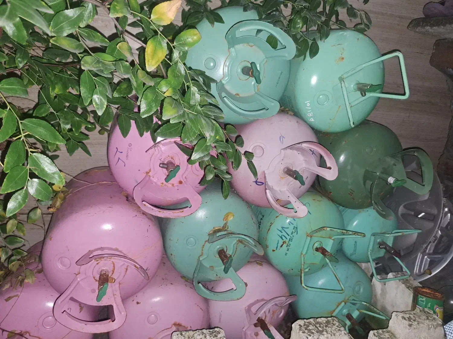 کپسول گاز کولر گازی|کولر گازی و فنکوئل|رشت, دباغیان|دیوار