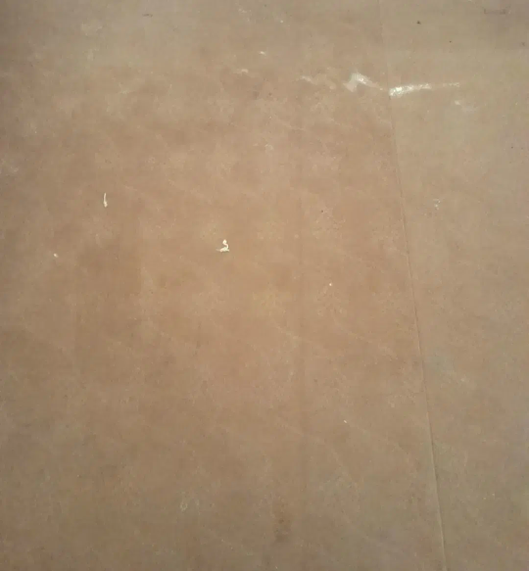 موکت ظریف مصور|موکت|تبریز, |دیوار