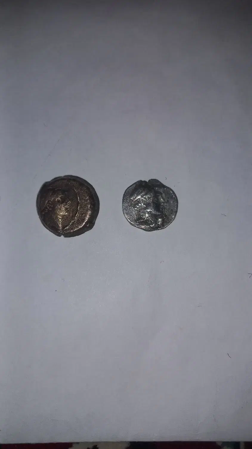 سلوکی|کلکسیون سکه، تمبر، اسکناس|زنجان, |دیوار