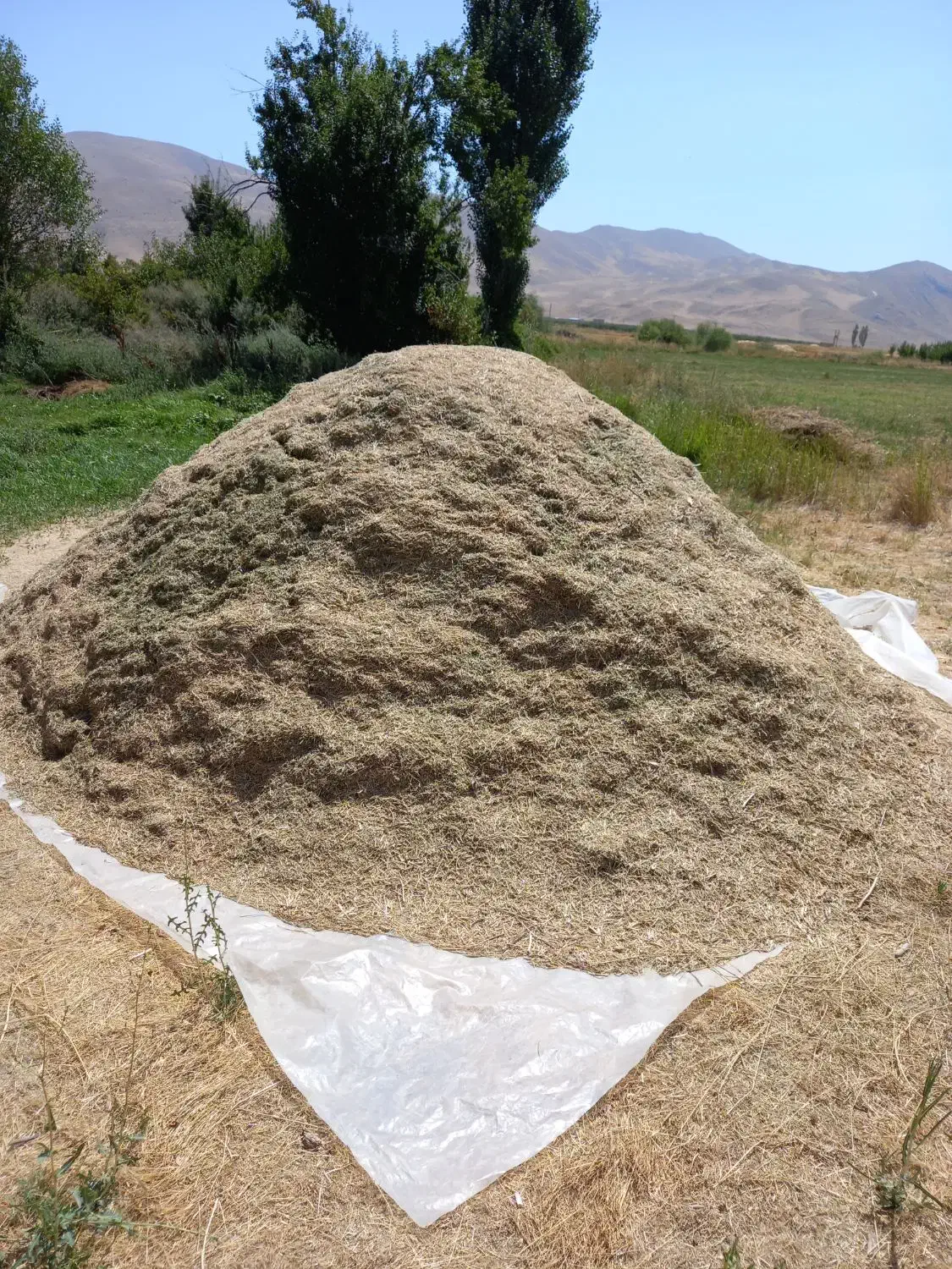 کاه یونجه چین دوم|لوازم جانبی حیوانات|یاسوج, |دیوار