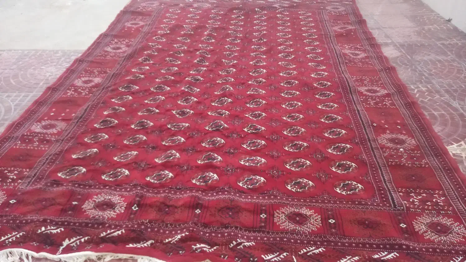 قالی|فرش|گنبد کاووس, |دیوار