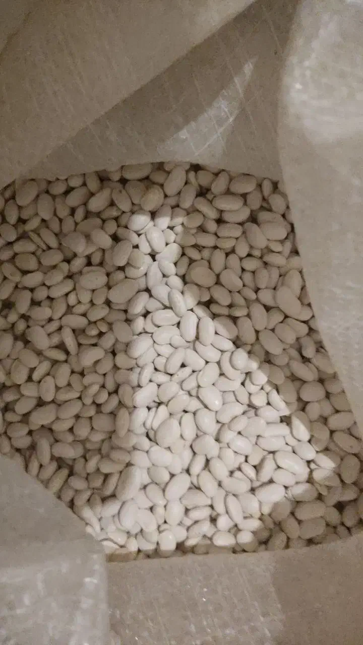 ترخینه روغن محلی|خوردنی و آشامیدنی|هرسین, |دیوار