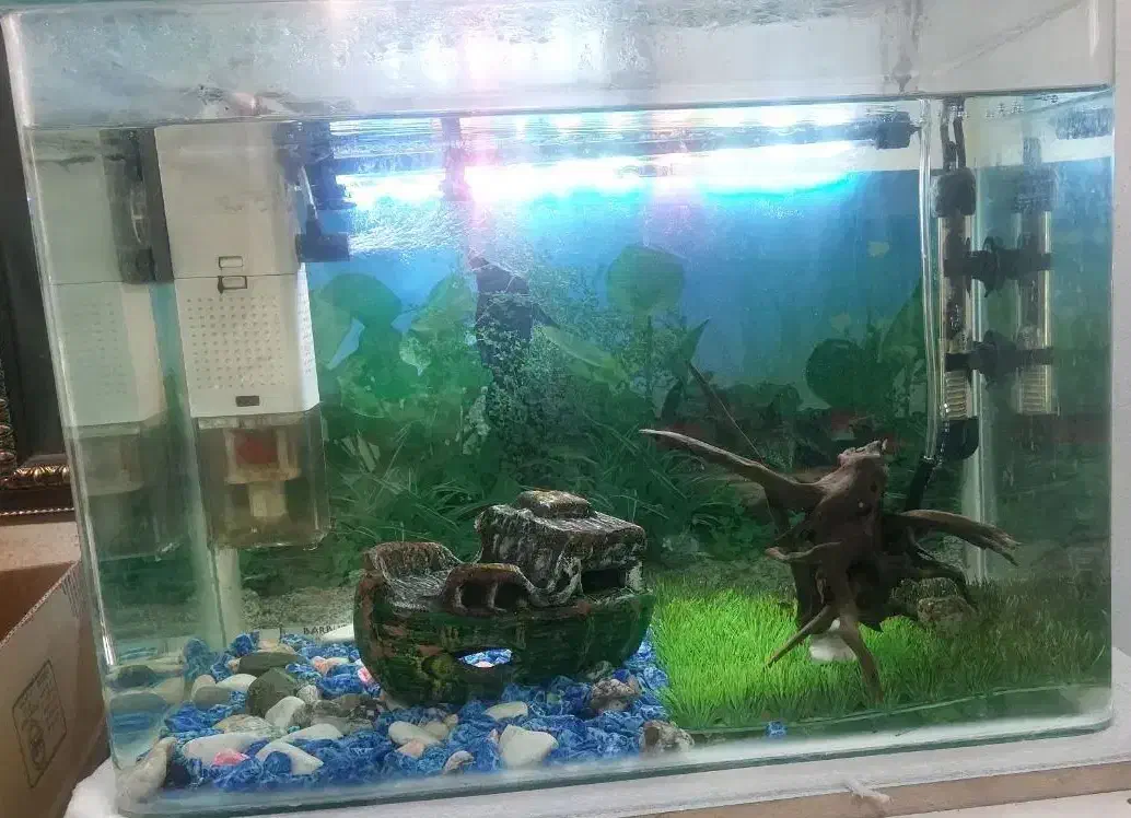 آکواریوم با لوازم|ماهی|تهران, خواجه نظام الملک|دیوار