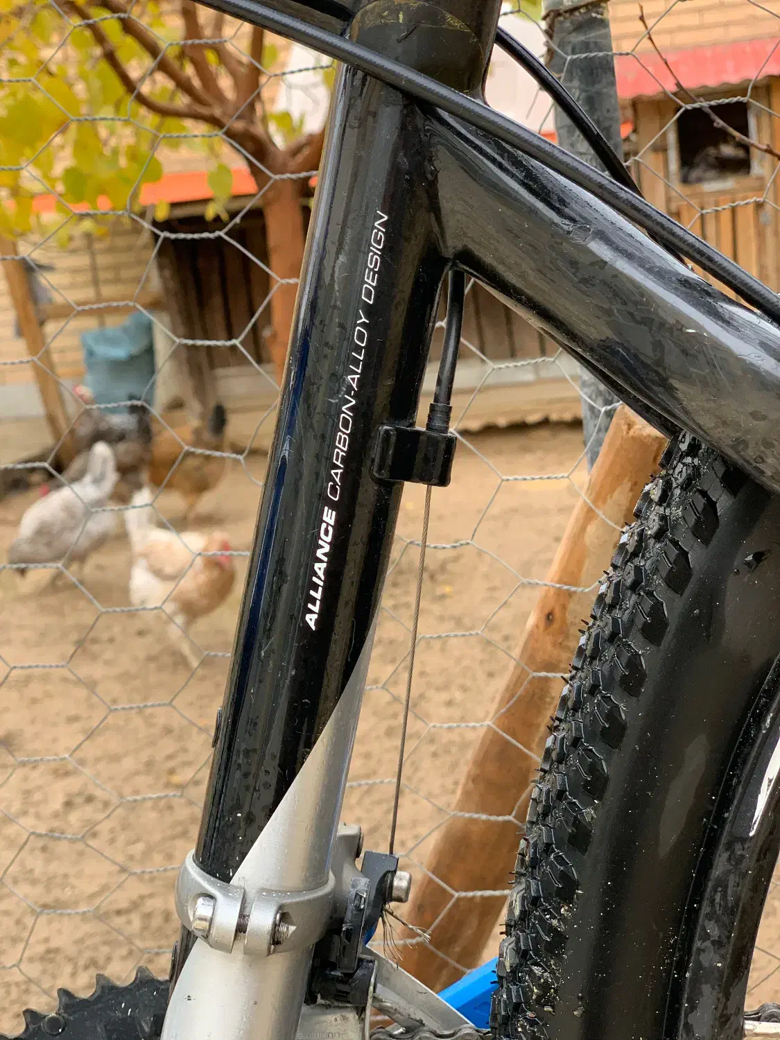 دوچرخه کوهستان کراس کانتری جاینت|دوچرخه، اسکیت، اسکوتر|شاهین‌شهر, پاسداران|دیوار