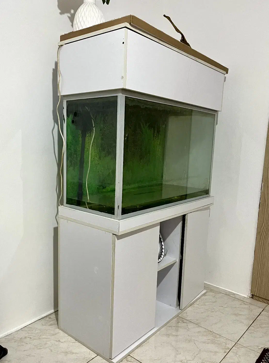 شیشه آکواریوم با تجهیزات ۸میلیون|ماهی|آستارا, |دیوار