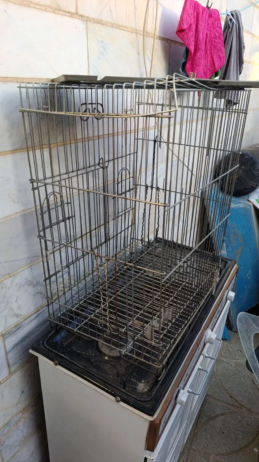 قفس محکم و‌بزرگ|لوازم جانبی حیوانات|گلپایگان, |دیوار