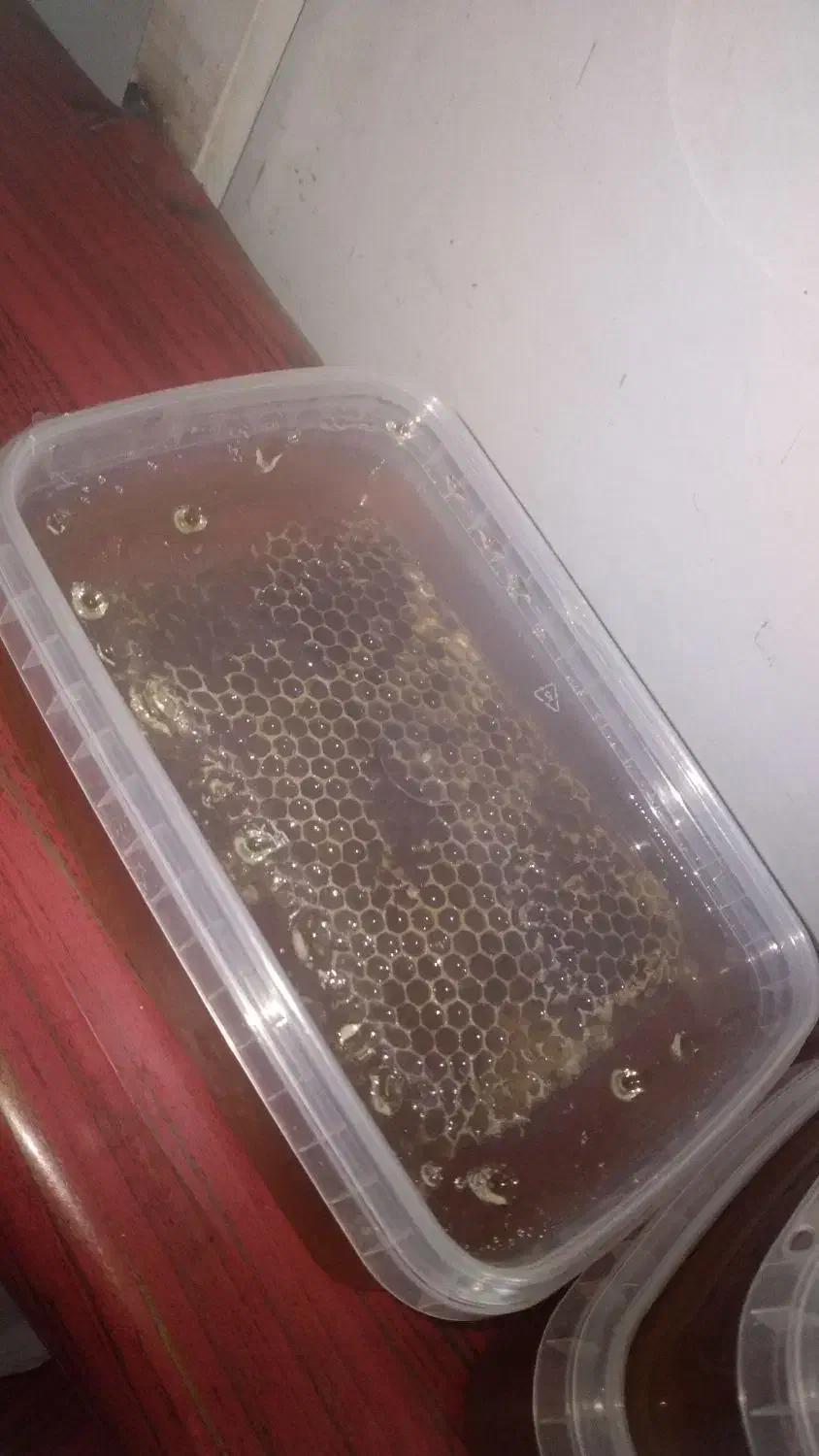 عسل طبیعی و ارگانیک|خوردنی و آشامیدنی|اسدآباد, |دیوار