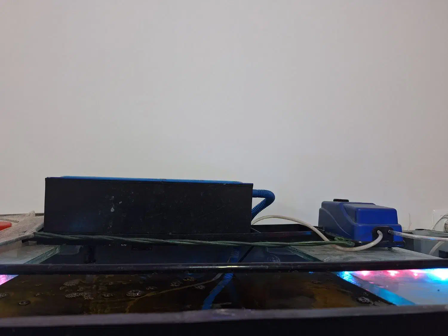 اکواریوم|ماهی|قم, شهرک فاطمیه|دیوار