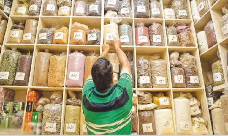 کاربر گیاهان دارویی|خدمات آموزشی|مشهد, احمدآباد|دیوار