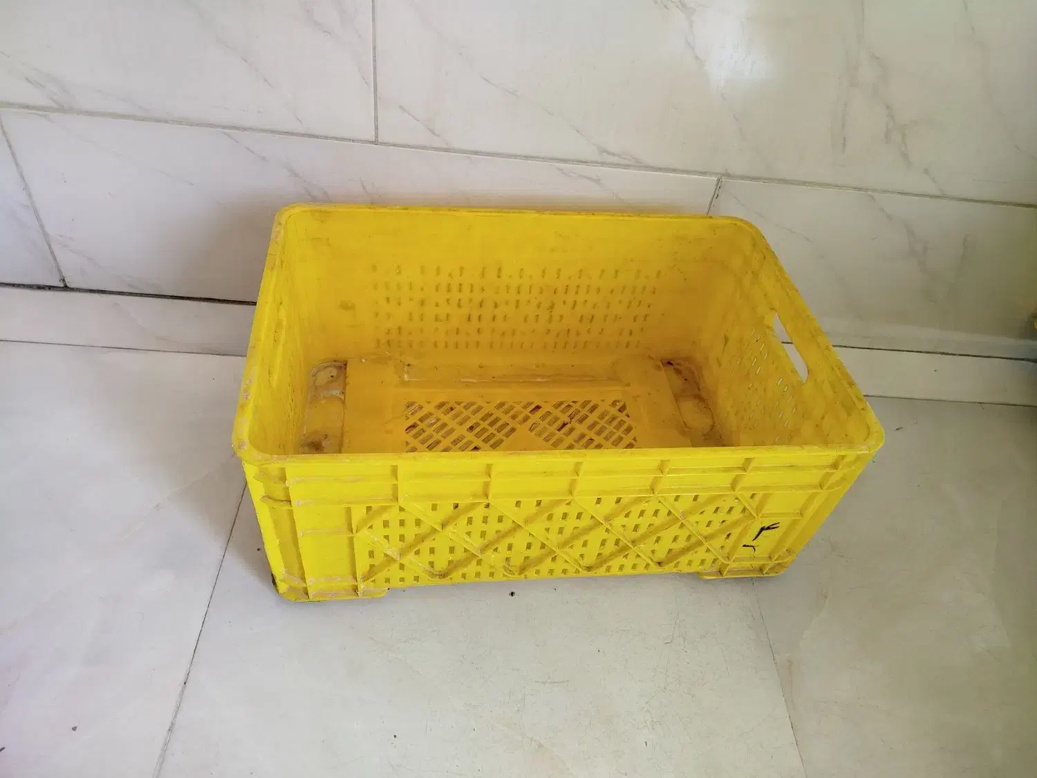 سبد مرغ بزرگ|ظروف نگهدارنده، پلاستیکی، یک‌بارمصرف|سنندج, |دیوار