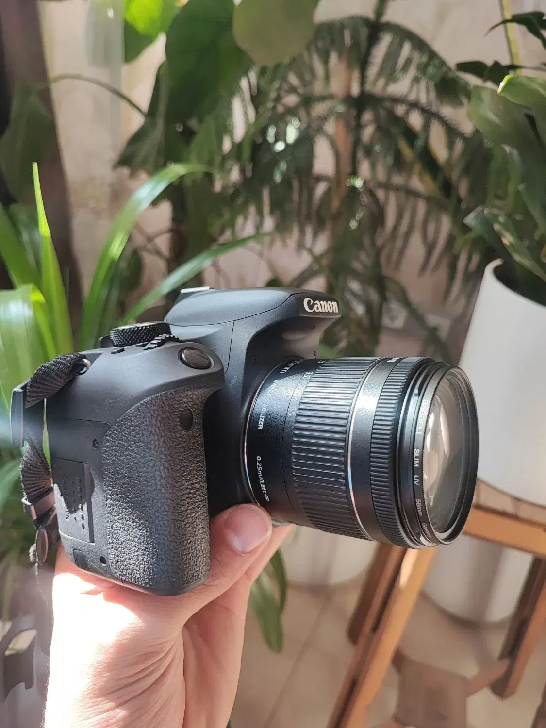 دوربین عکاسی Cannon 800D|دوربین عکاسی و فیلم‌برداری|شیراز, باغ تخت|دیوار