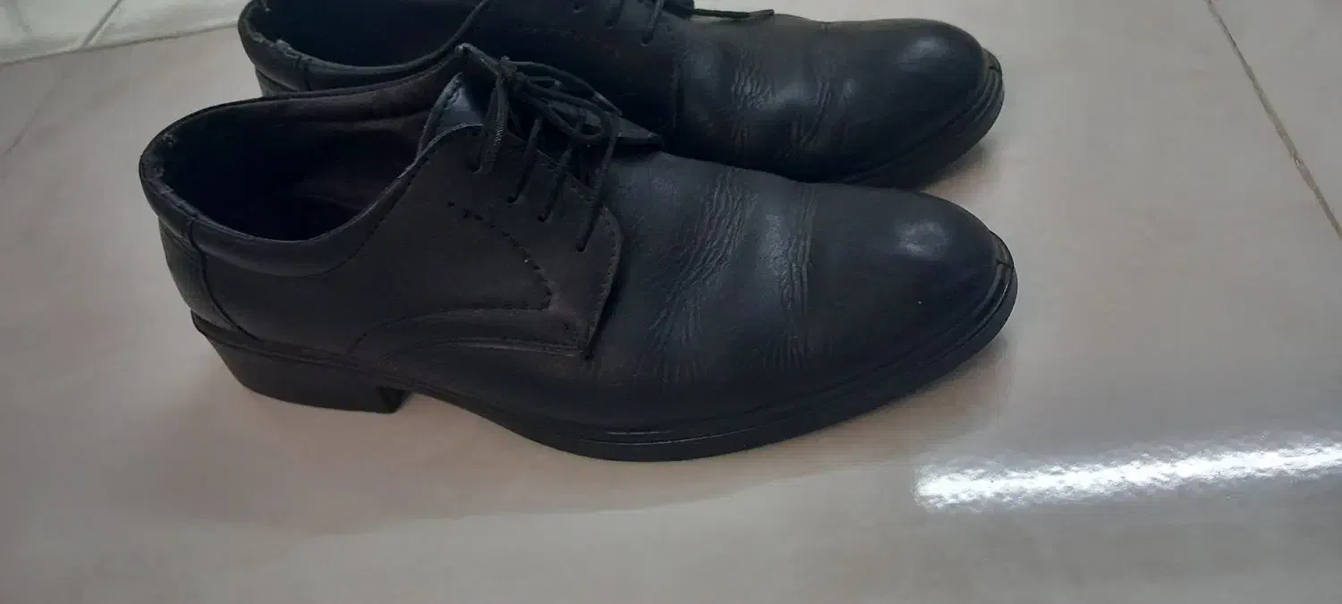 کفش چرم|کیف، کفش، کمربند|نهاوند, |دیوار