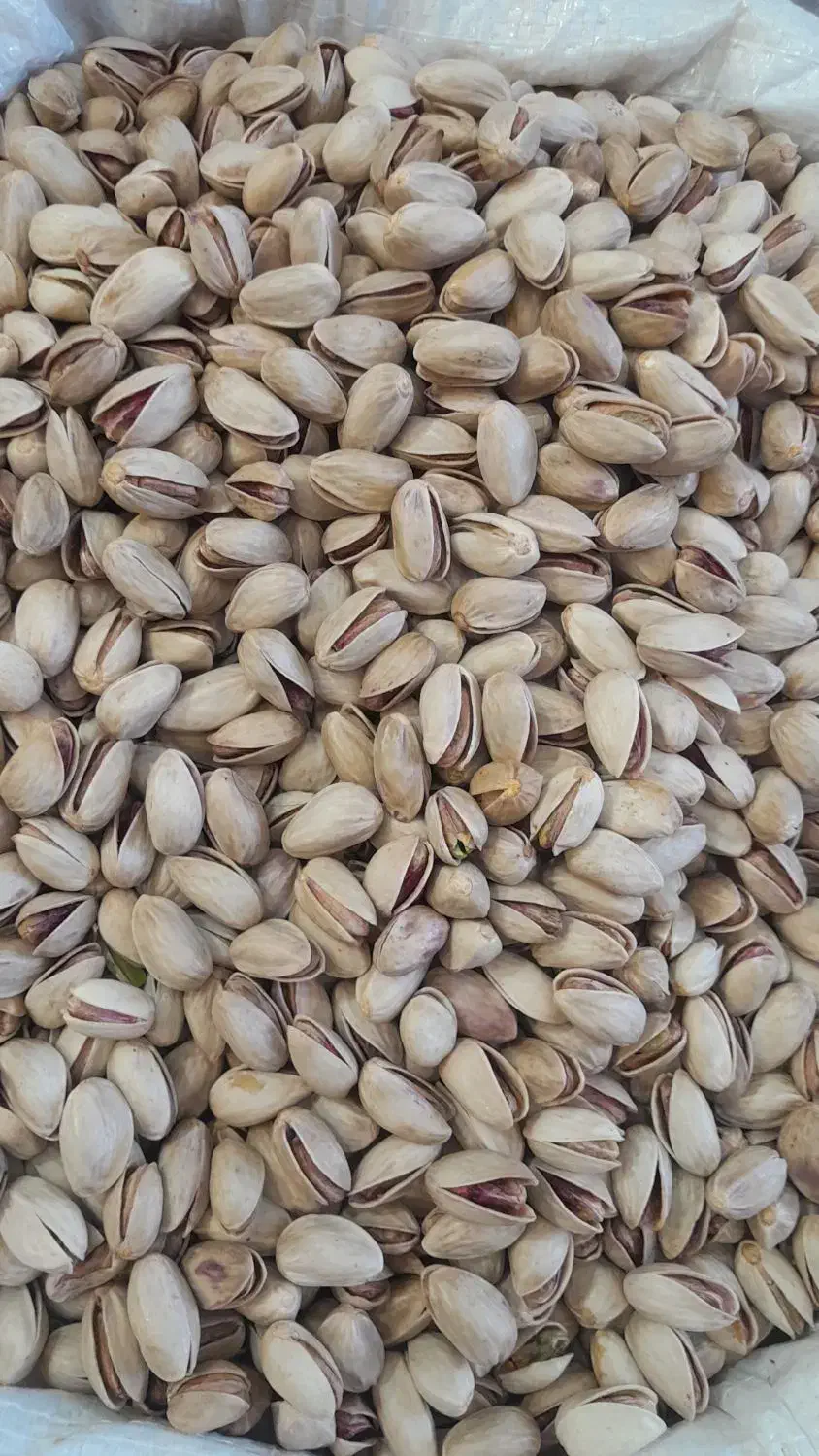 پسته شاهپسند  اعلا درشت  خرده و عمده|خوردنی و آشامیدنی|اهواز, شهرک رزمندگان|دیوار