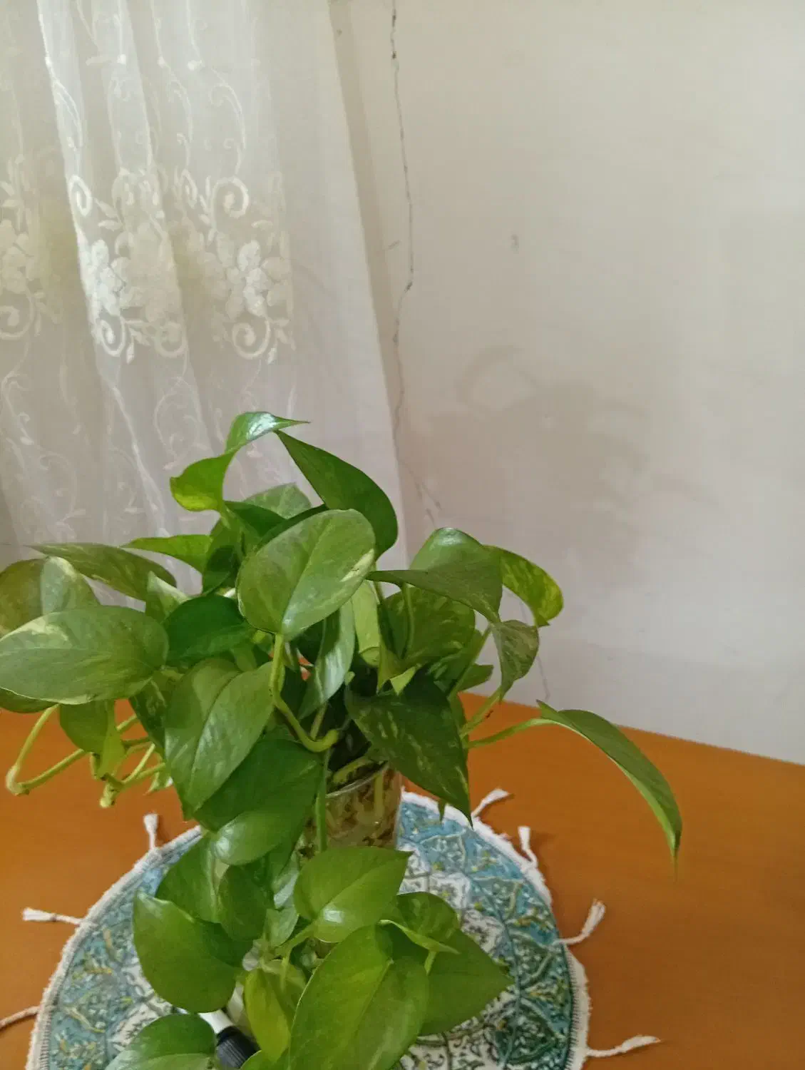 خانه کارگر رهن یا اجاره|اجارهٔ خانه و ویلا|شاهینشهر, خانه کارگر|دیوار