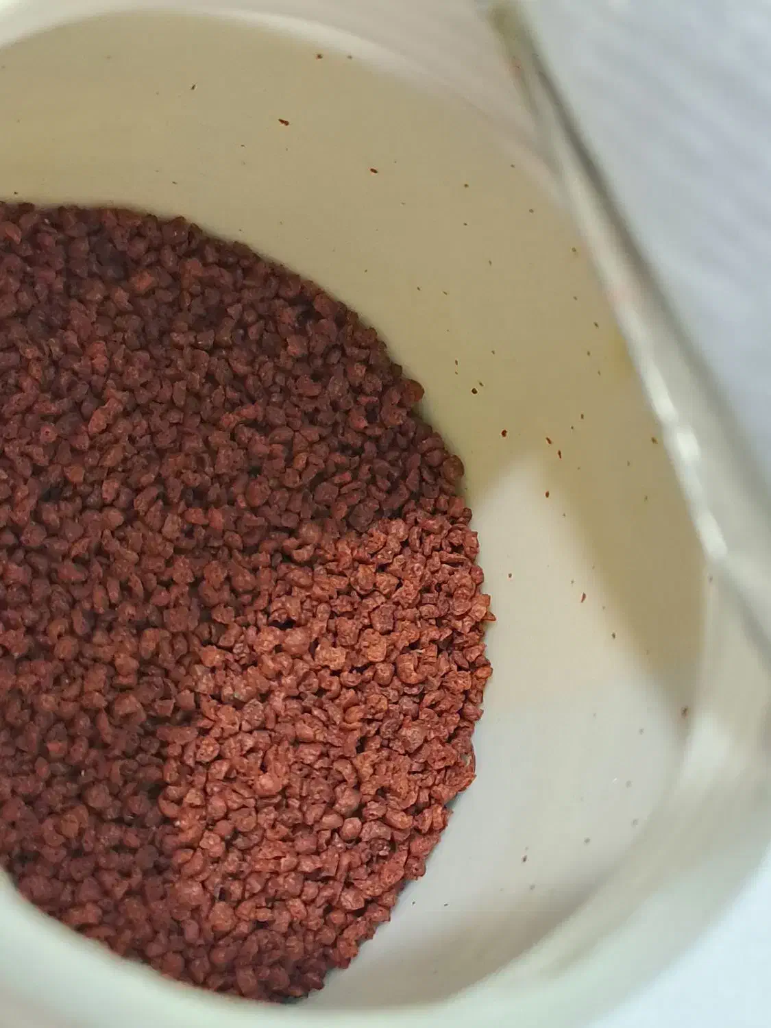 گیاه اکواریوم وغذای ماهی دیسکس|ماهی|شیراز, فرگاز|دیوار