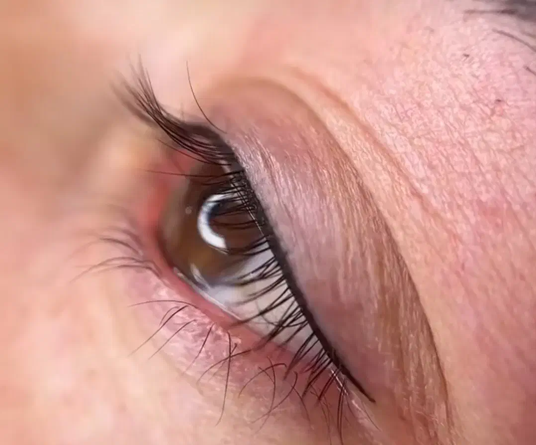 میکرو بلیدینگ ابرو و خط چشم و شیدینگ لب|خدمات آرایشگری و زیبایی|مشهد, شریف|دیوار