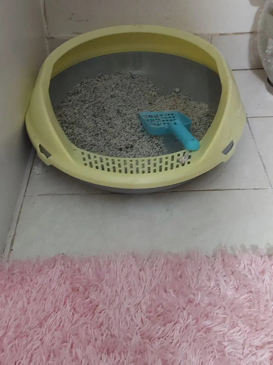 لوازم پت|لوازم جانبی حیوانات|دلیجان, |دیوار