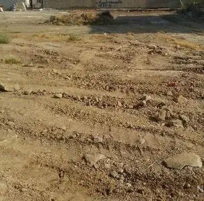 زمین چغادک|فروش زمین و ملک کلنگی|چغادک, |دیوار