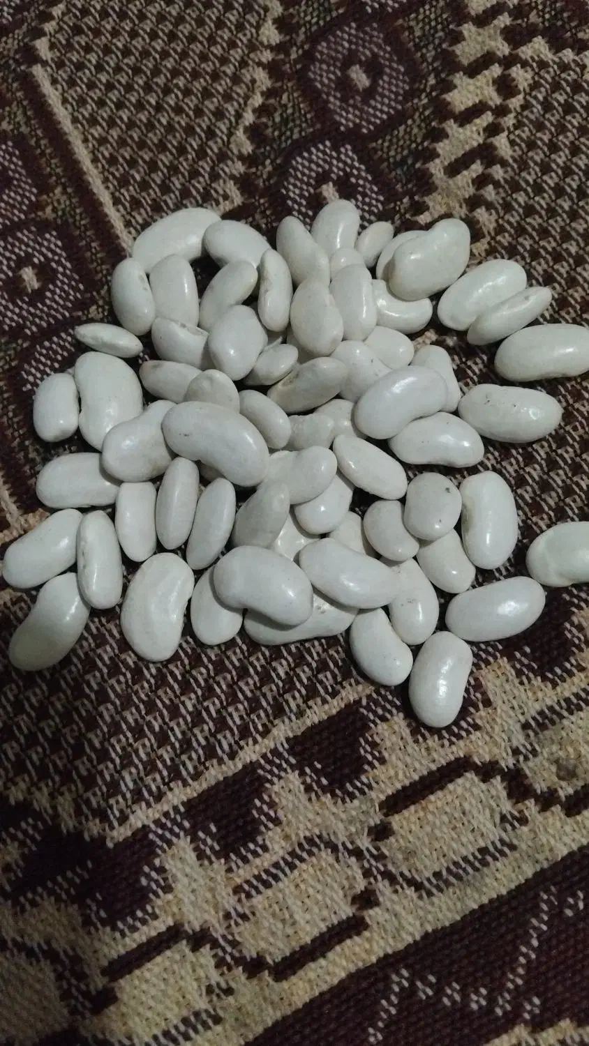 لوبیا سفید|خوردنی و آشامیدنی|ملکان, |دیوار