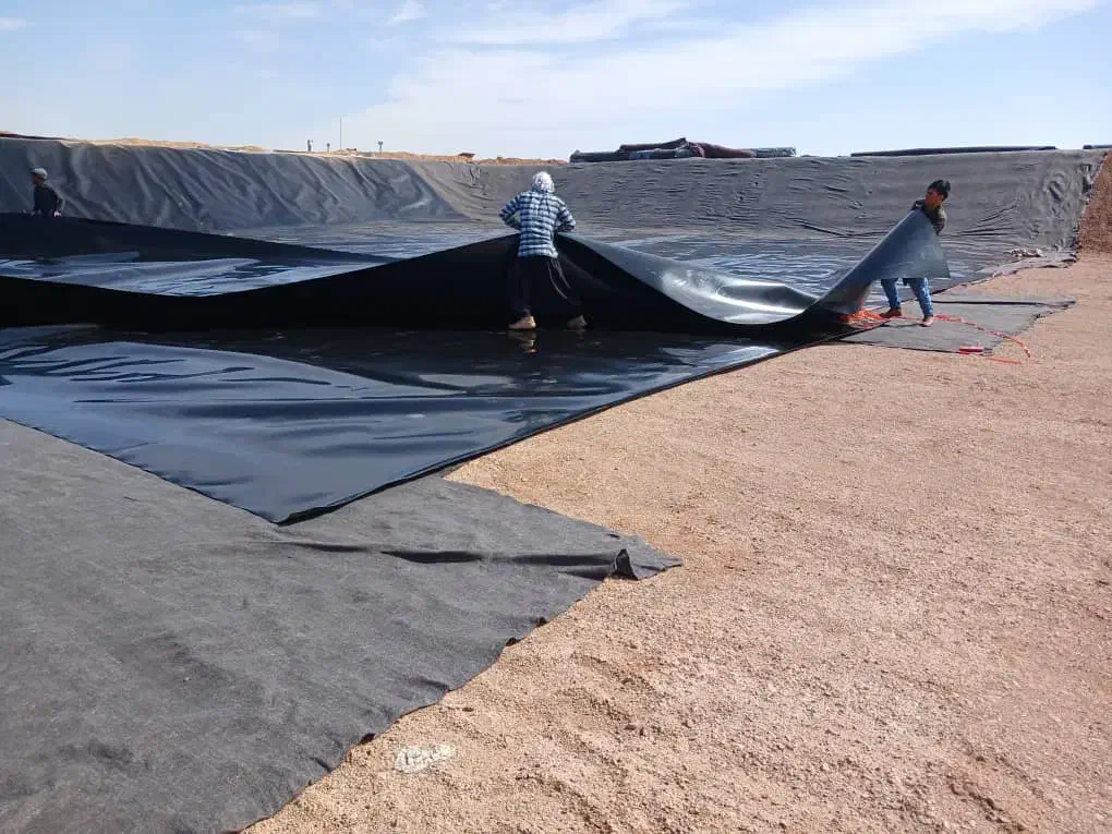 ژئوممبران عایق استخرهای کشاورزی و صنعتی|خدمات باغبانی و درختکاری|بندرعباس, |دیوار