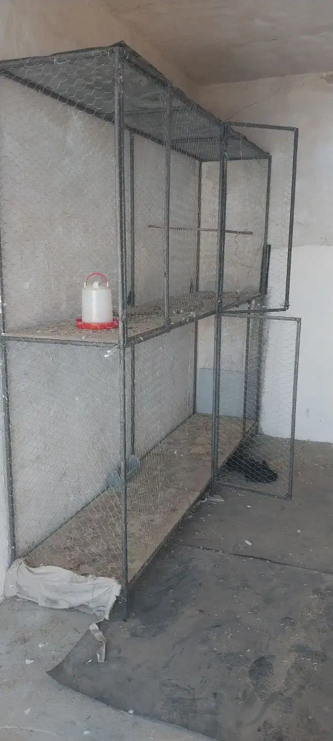 تور یا قفس|لوازم جانبی حیوانات|انگوران, |دیوار