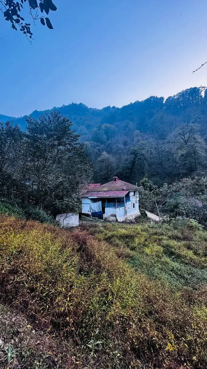 1600مترخانه محوطه سنتی پلاک 1 جنگل در دل بهشت|فروش خانه و ویلا|فومن, |دیوار