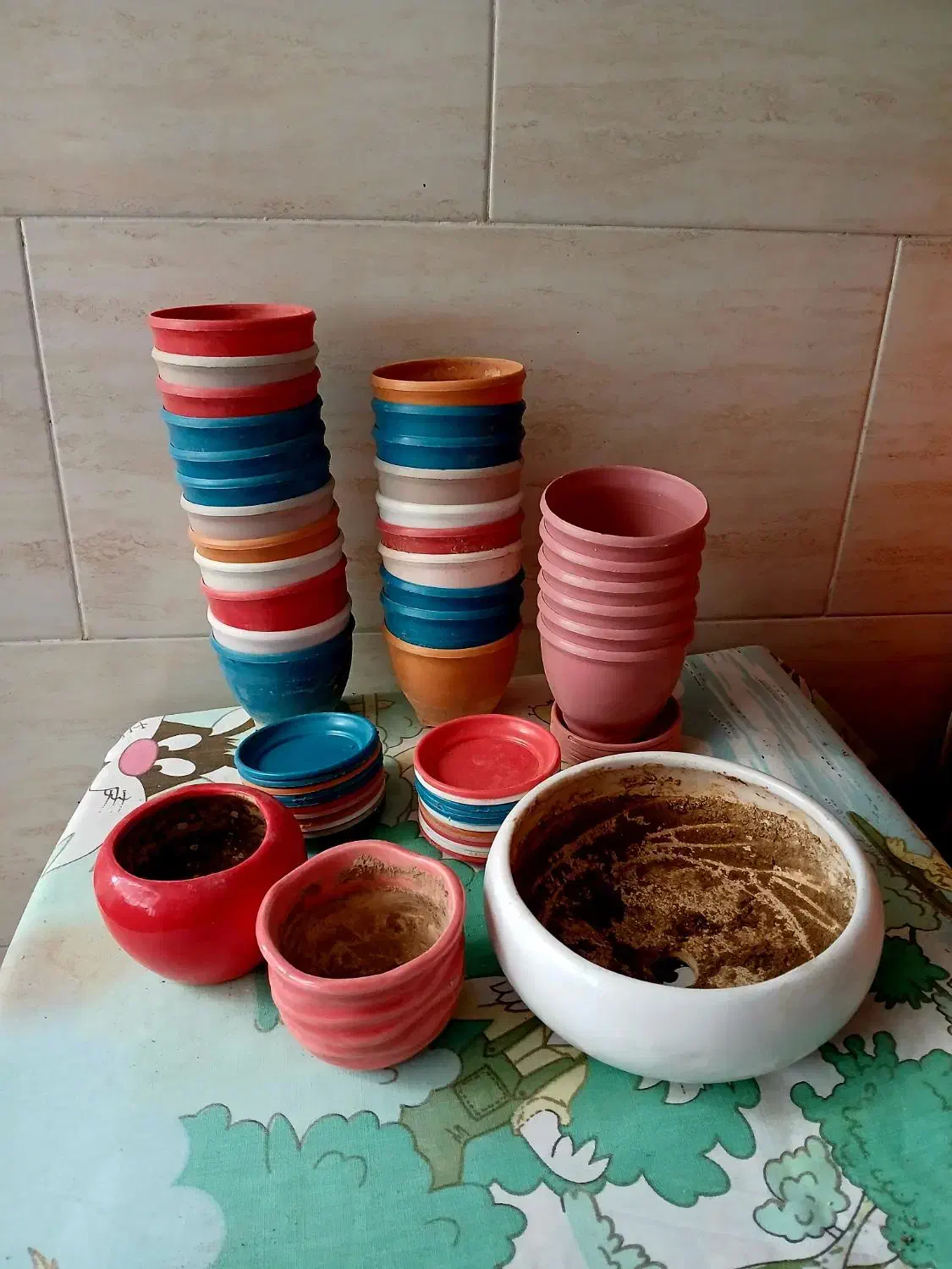 حراج گلدان|حراج|شیراز, هفت تنان|دیوار