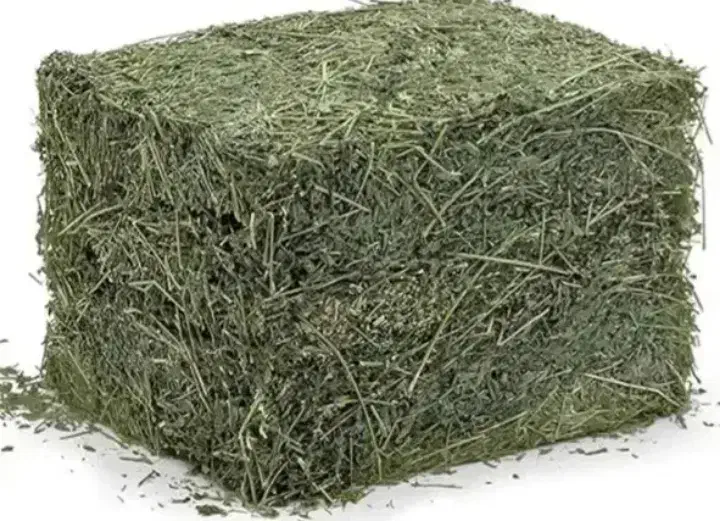 یونچه|لوازم جانبی حیوانات|خرمآباد, |دیوار