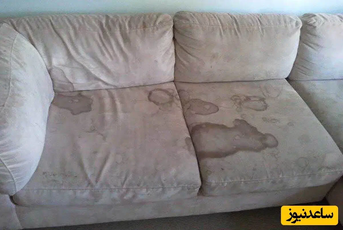 شرکت خدماتی ومبل شویی مبلشویی نگین  ارتا نوش|خدمات نظافت|مشهد, گلشور|دیوار