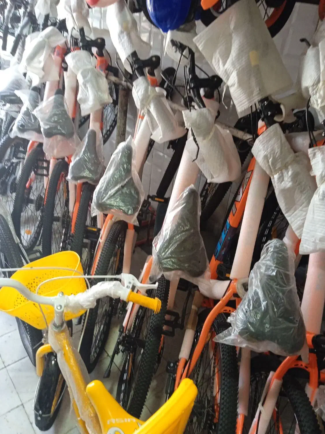 صمصامی|دوچرخه، اسکیت، اسکوتر|زاهدان, |دیوار