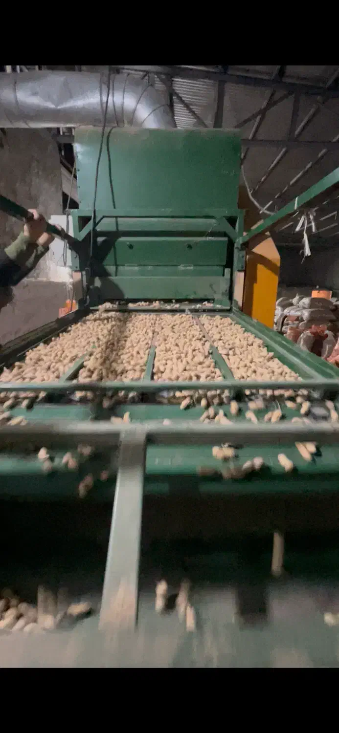 بادام زمینی|عمدهفروشی|اسلام آباد, |دیوار