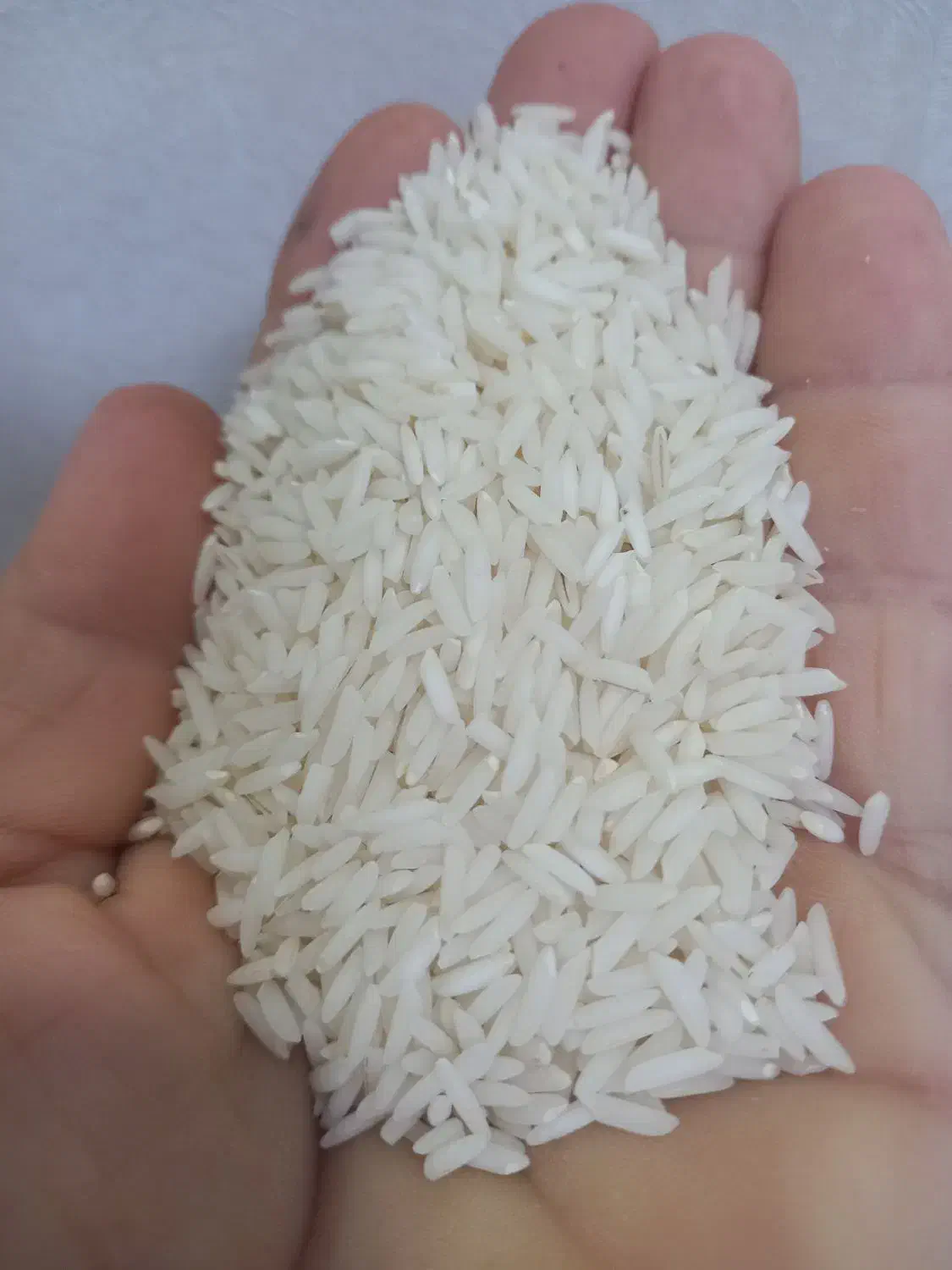 برنج هاشمی آستانه اشرفیه خالص خالص|خوردنی و آشامیدنی|لاهیجان, کوی آزادگان|دیوار